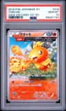 Torchic