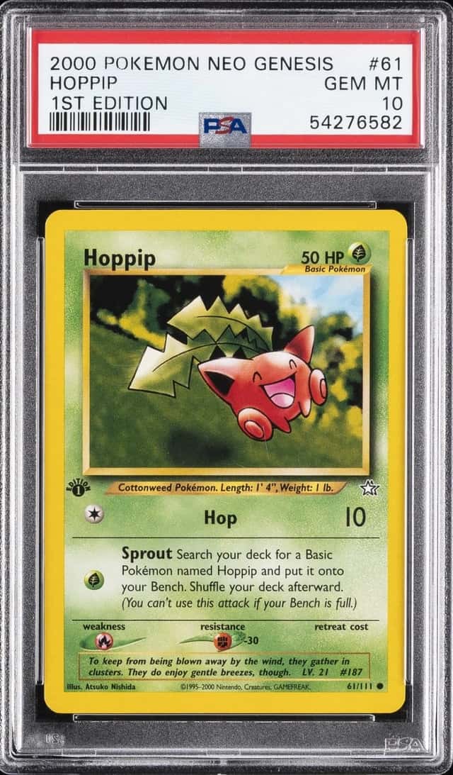 Hoppip