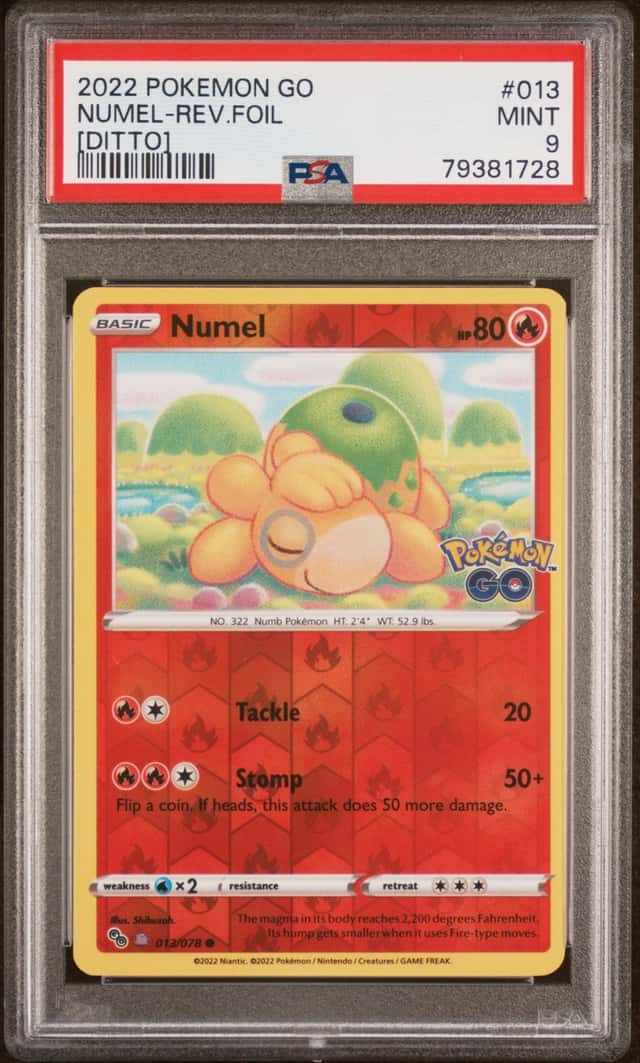 Numel (Ditto)