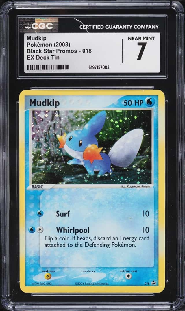 Mudkip