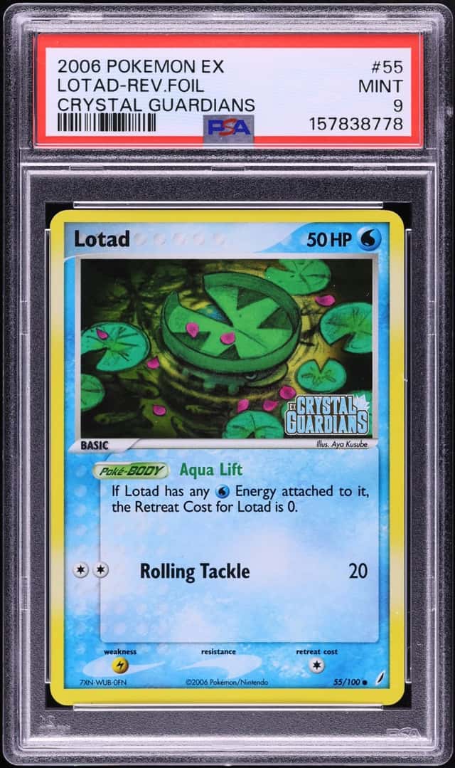 Lotad