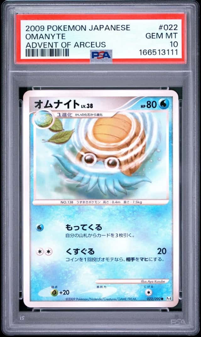 Omanyte