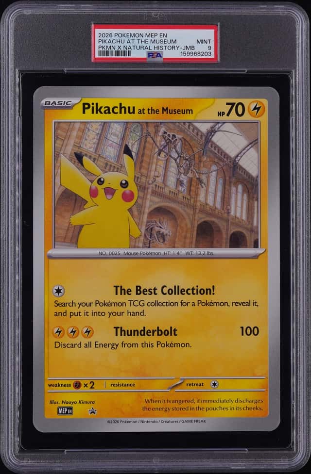 Pikachu At The Museum