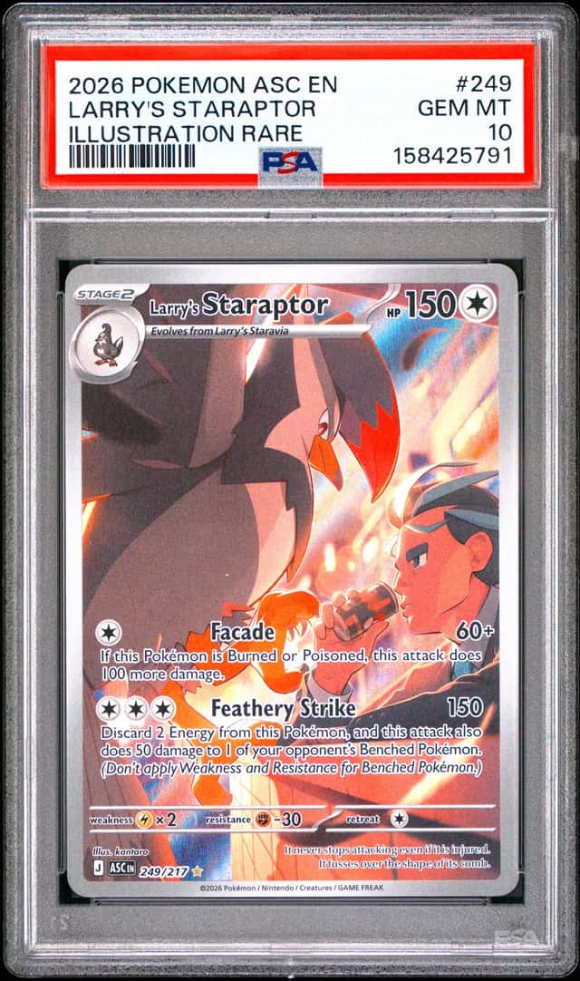 Larry's Staraptor