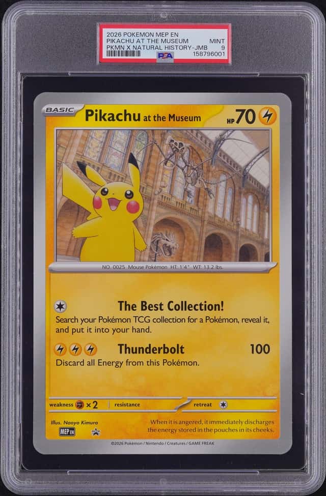 Pikachu At The Museum