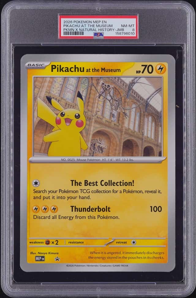 Pikachu At The Museum