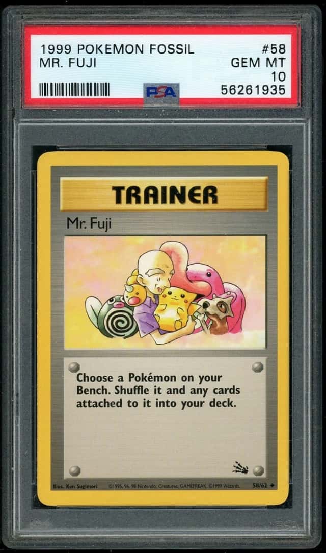 Mr. Fuji