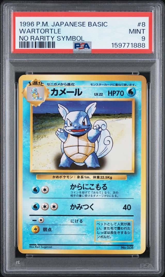 Wartortle