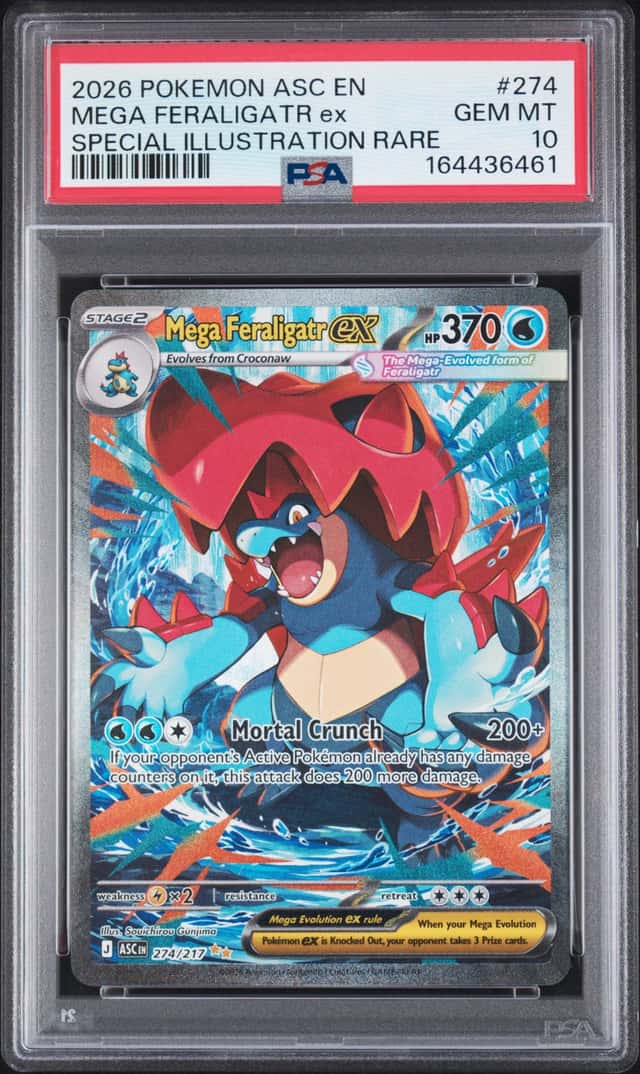 MEGA FERALIGATR ex