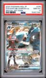 Steven'S Metagross Ex