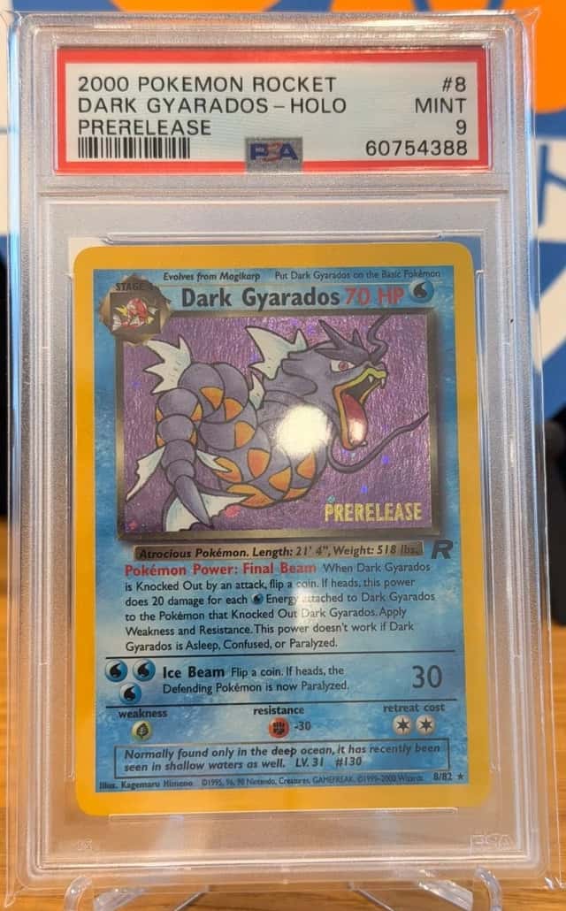 Dark Gyarados