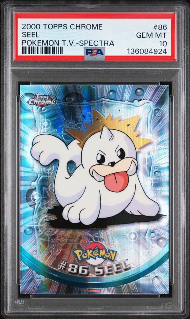 Seel