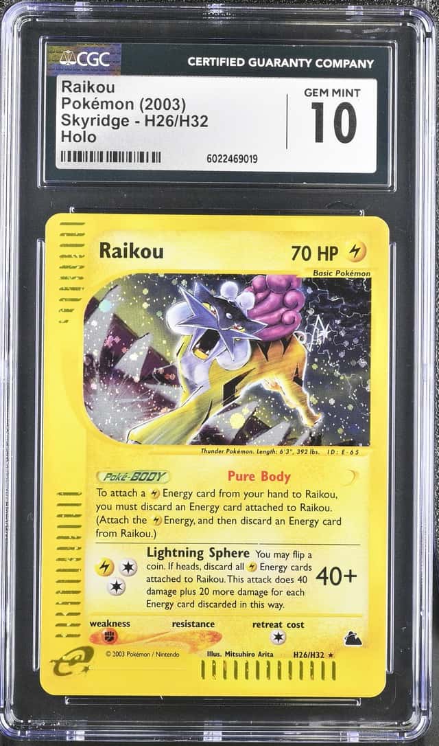 Raikou