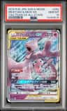 Mewtwo & Mew Gx