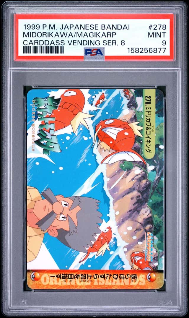 Midorikawa/Magikarp