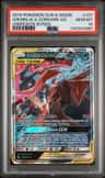 Greninja & Zoroark Gx