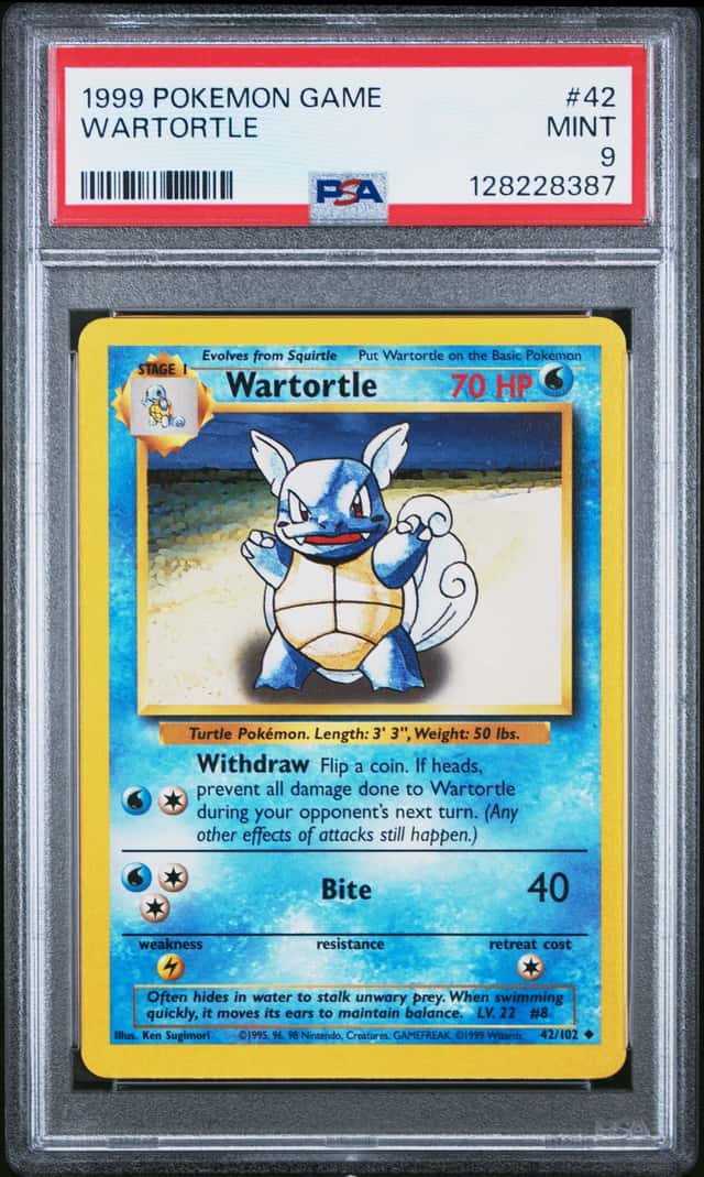 Wartortle