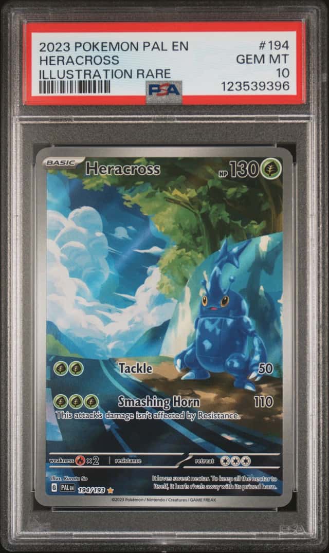 Heracross