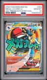 Mega Lucario Ex