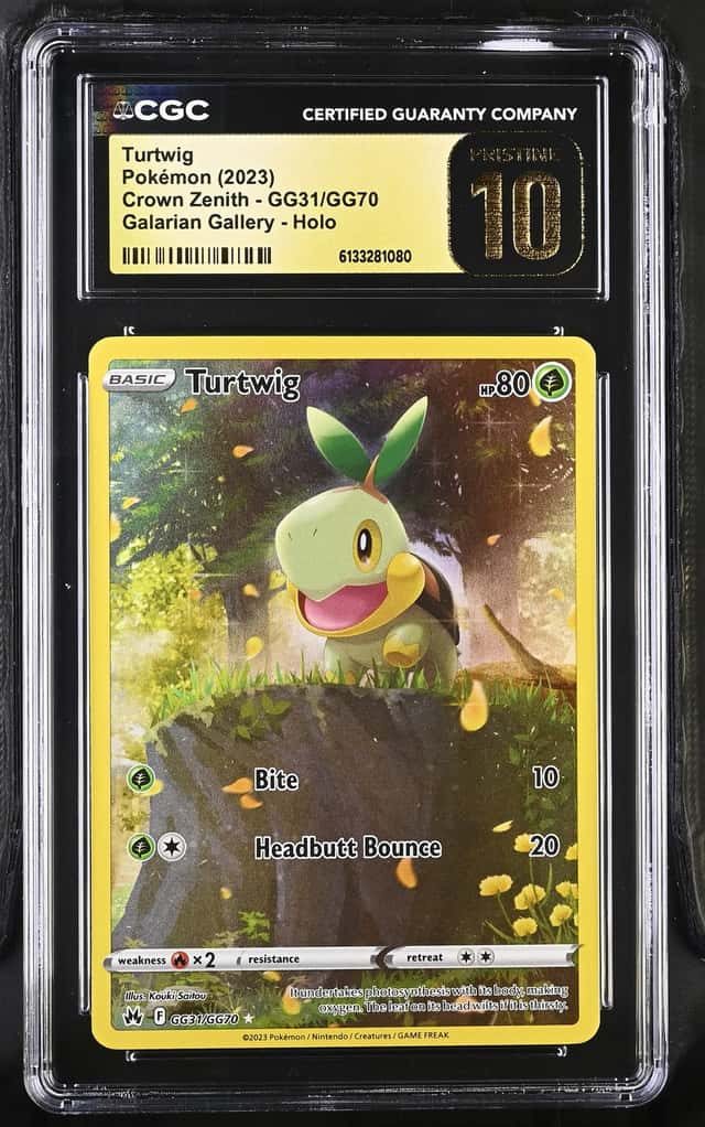 Turtwig