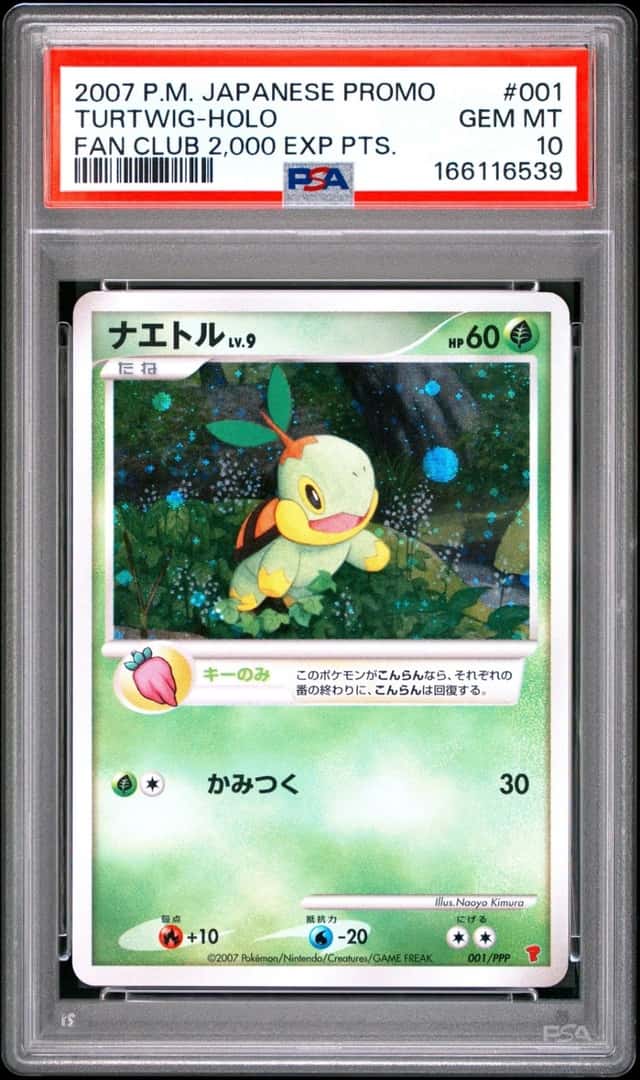 Turtwig