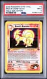 Brock'S Ninetales