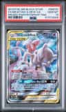 Mewtwo & Mew Gx