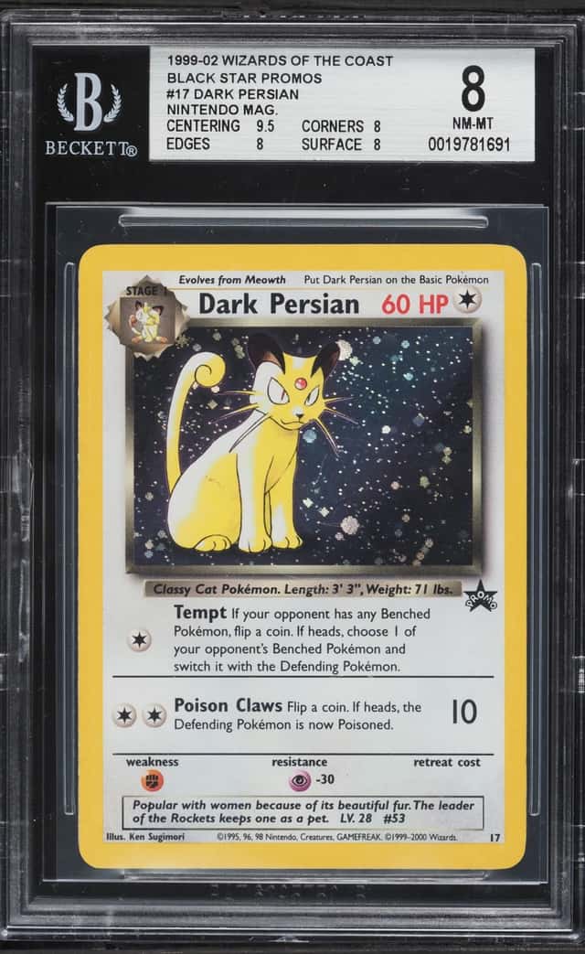 Dark Persian
