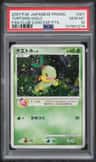 Turtwig