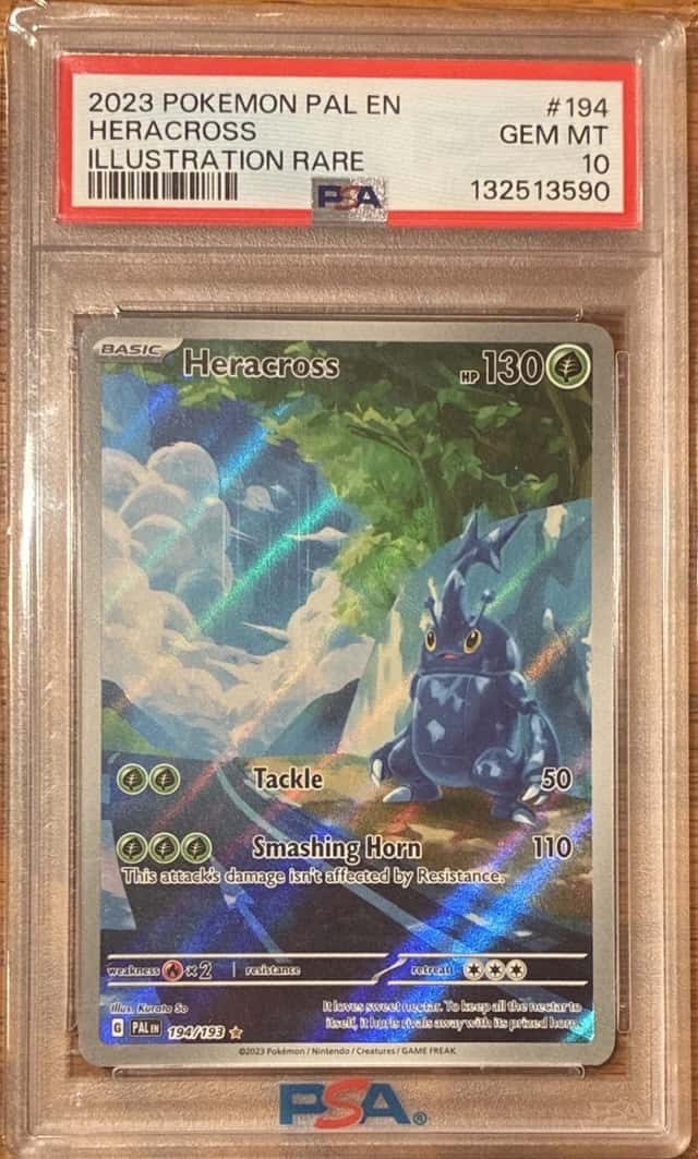 Heracross
