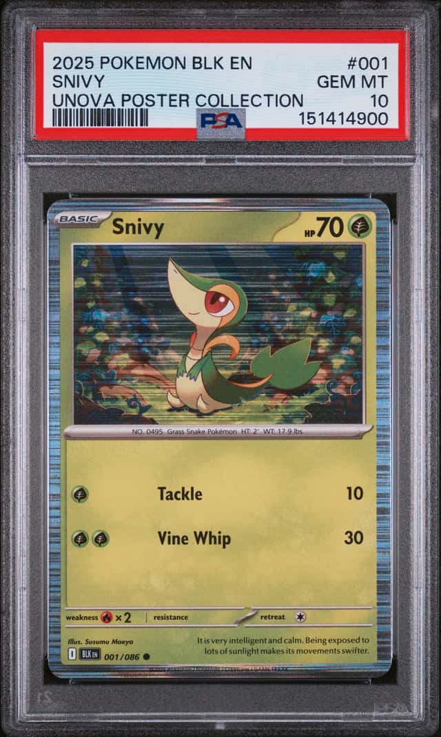 Snivy