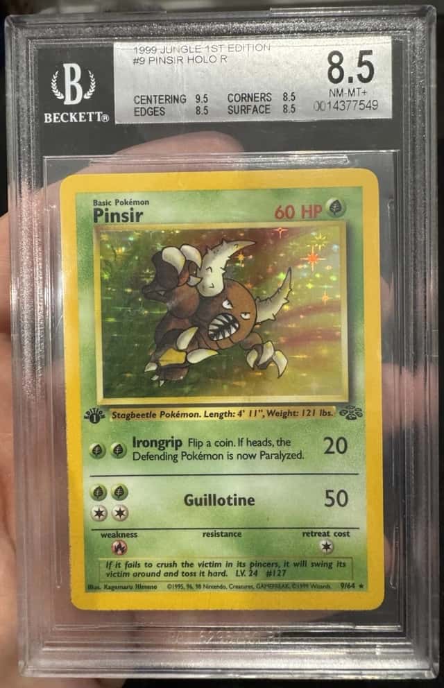 Pinsir