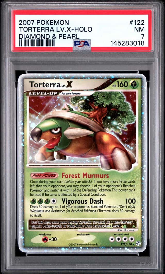 TORTERRA LV.X