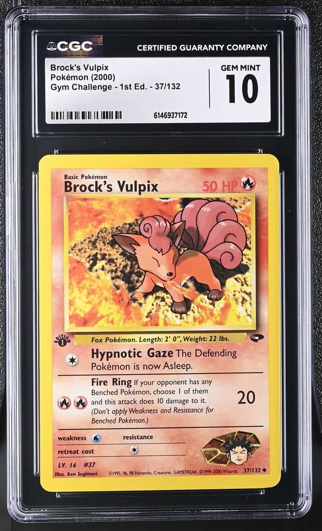 Brock's Vulpix