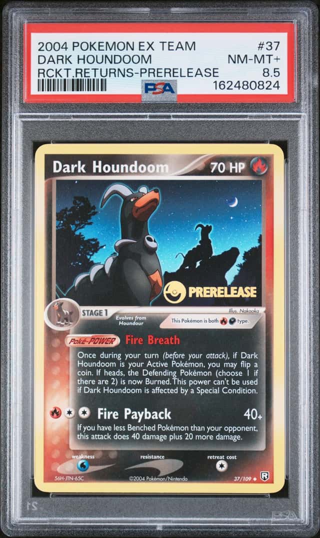 DARK HOUNDoom