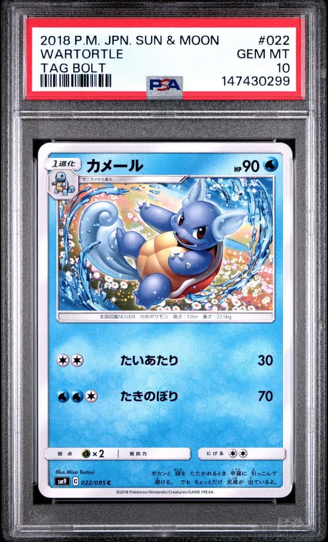 Wartortle