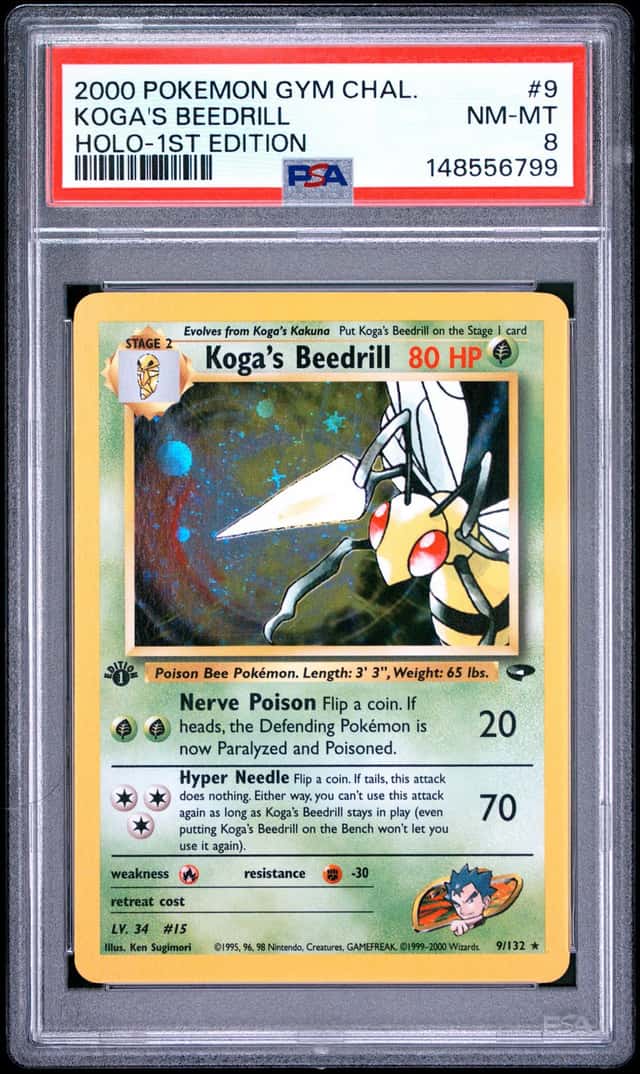 Koga's Beedrill