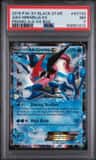 Ash-Greninja Ex
