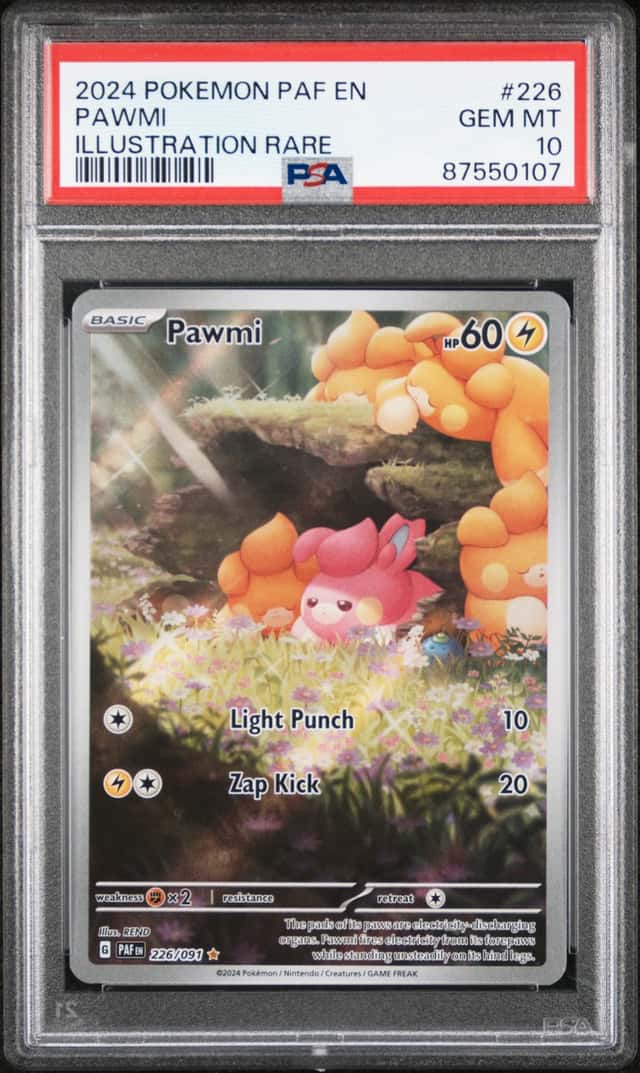 Pawmi