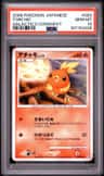 Torchic