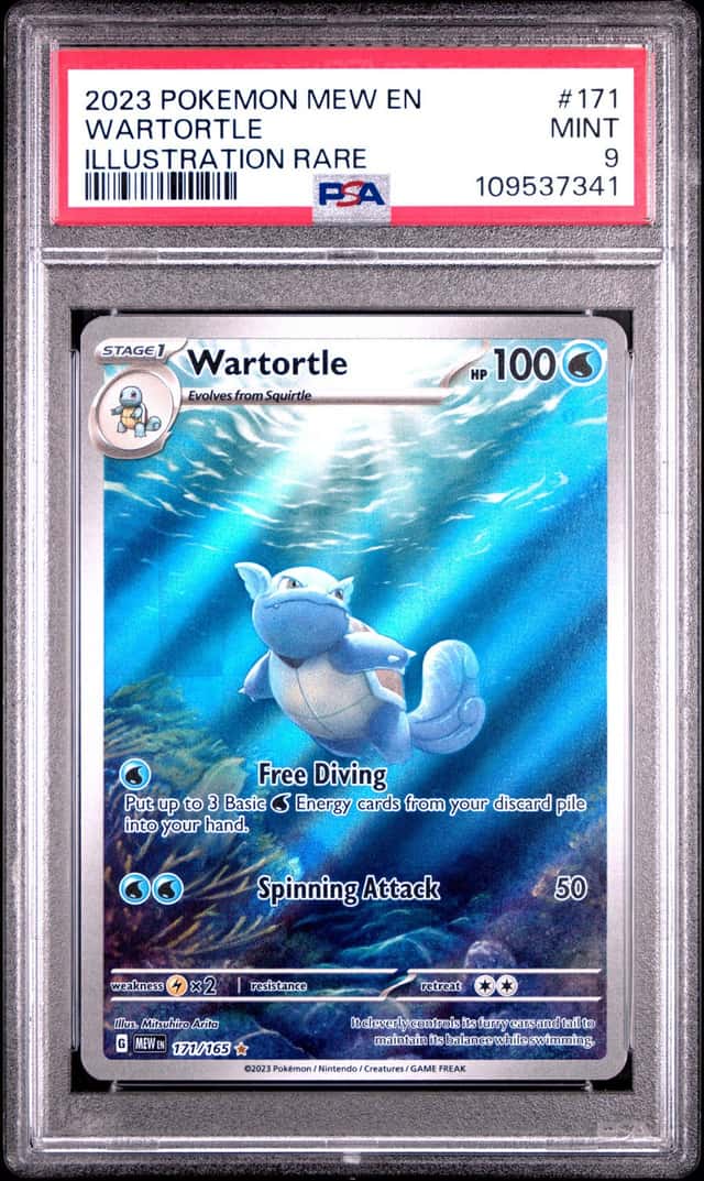Wartortle #171 - PSA 9 - English Sv 151 Illustration Holo Pokemon TCG 2023 Mew