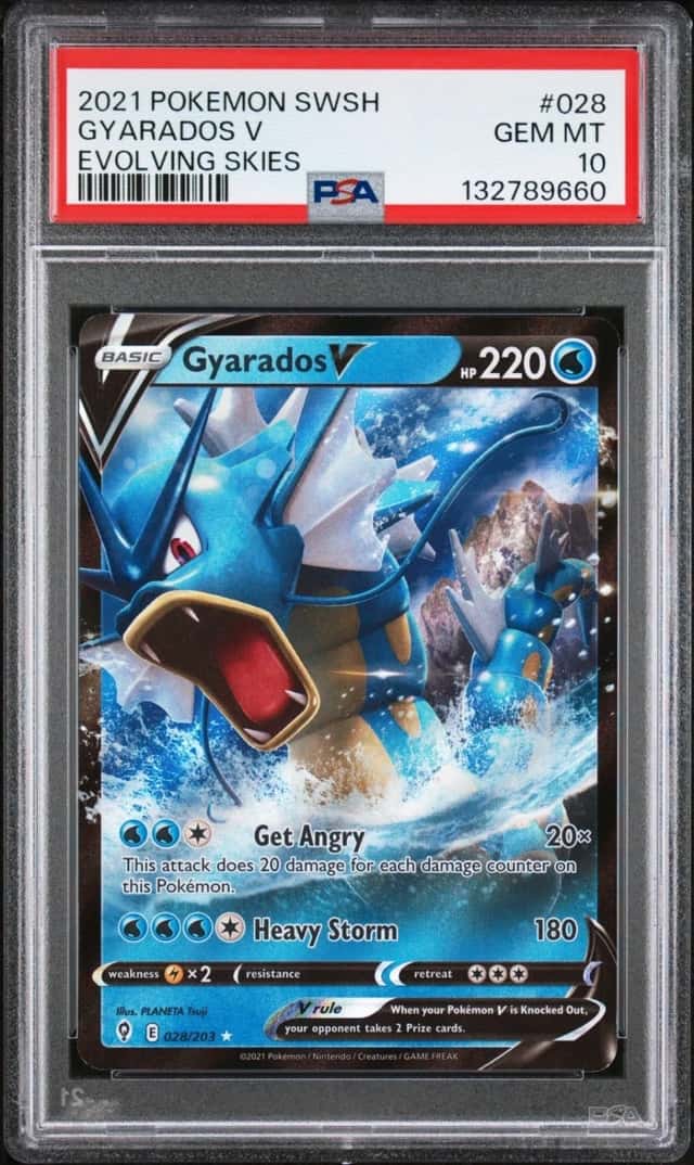 Gyarados V