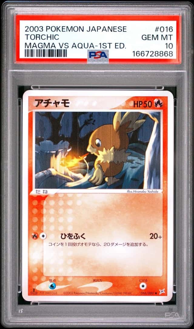 Torchic