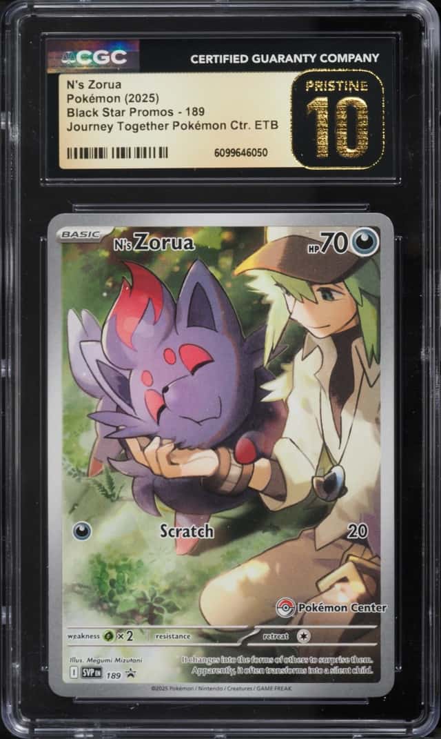N's Zorua