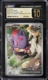N'S Zorua