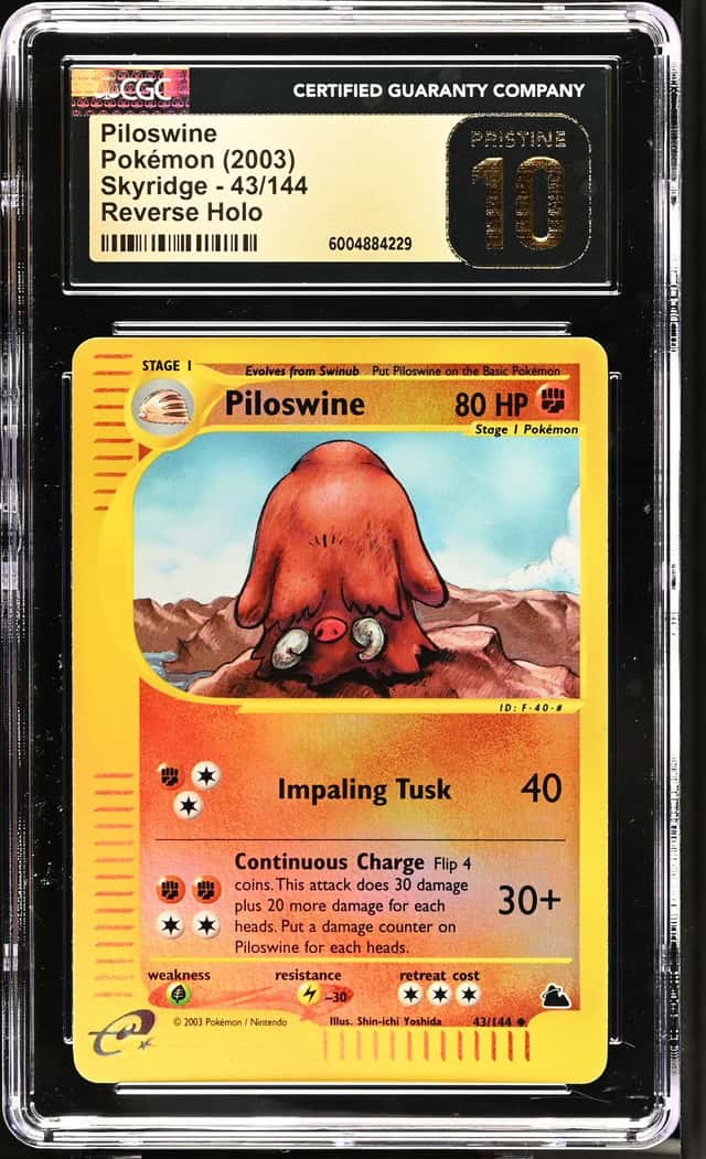 Piloswine