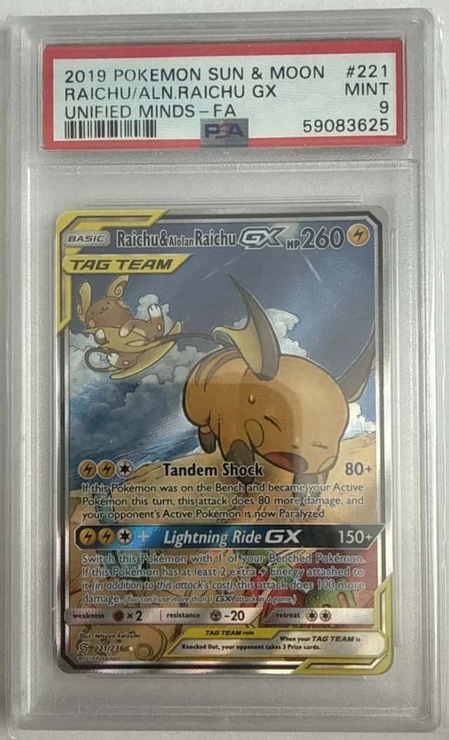 Raichu & Alolan Raichu GX