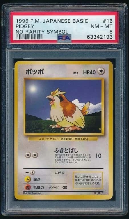 Pidgey