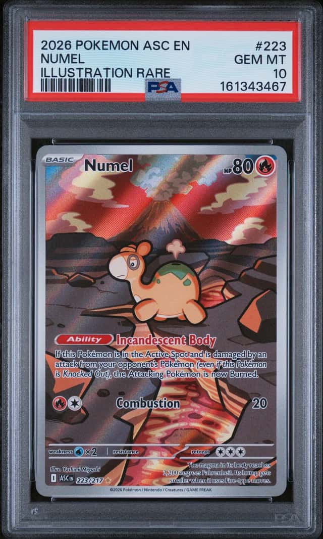 Numel