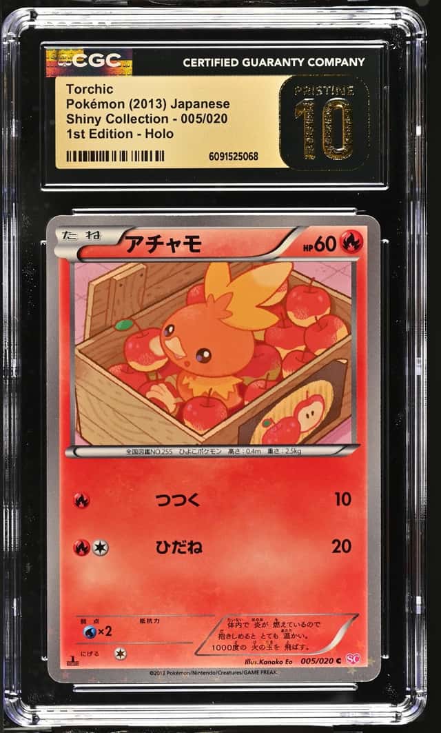 Torchic